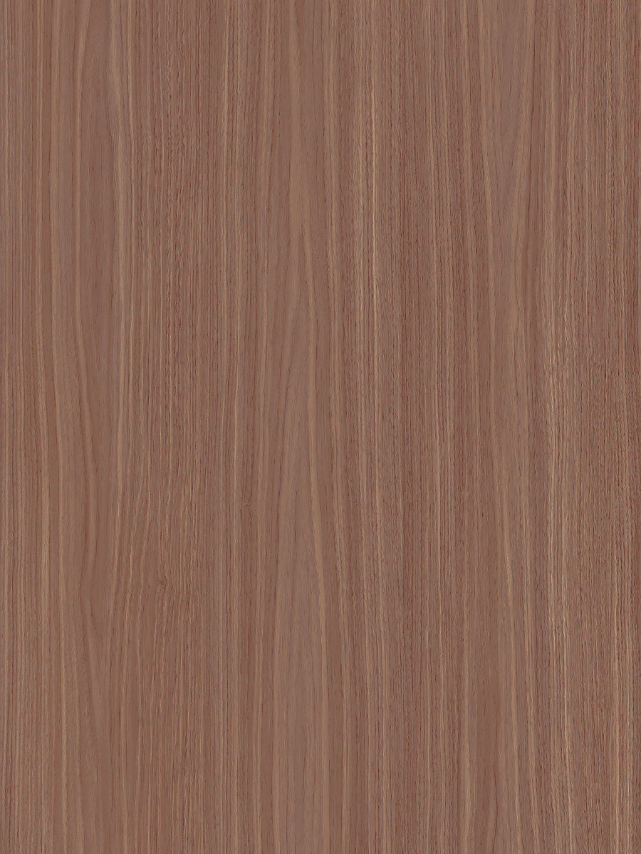 AS223 - PICASSO 03 AR
