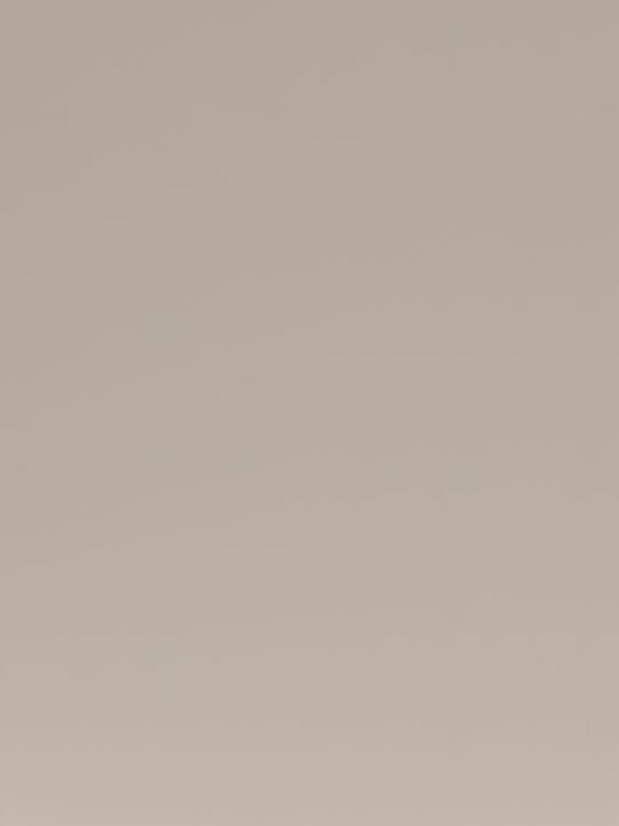 AZ308 – Taupe SM