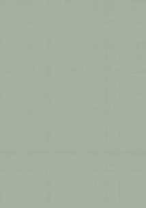 AZ318 – Agave SM