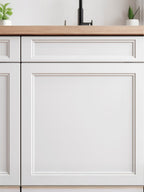 Lackierte Front CL40